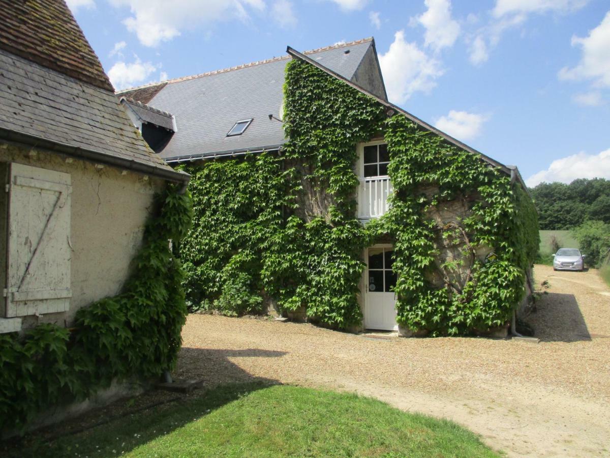 Chambres D'Hotes La Ferme Du Grand Launay Semblancay Luaran gambar